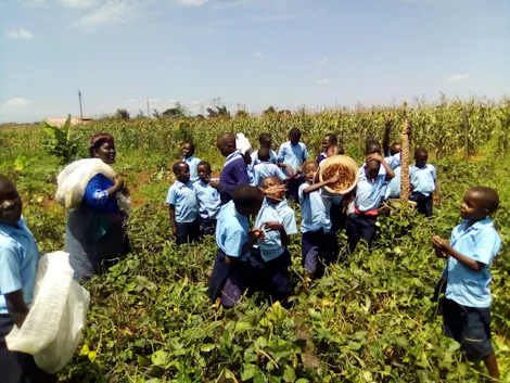 Training a New Generation to Create Resilient Livelihoods Through Permaculture Farming